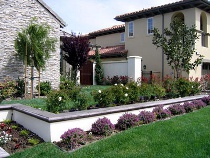 Garden Wall with Roses & Sweetpea