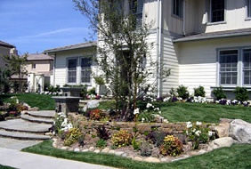 Woodland Style Landscape