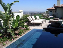 Tropical Poolside Planting