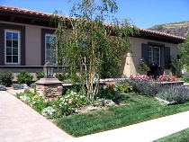 Woodland Style Planting