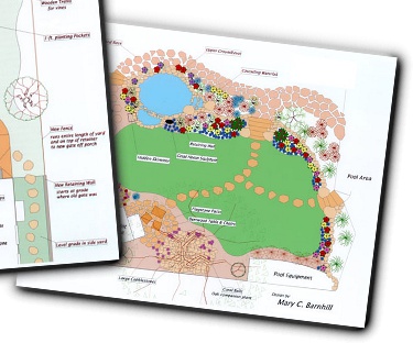 Back Yard Pond Design Plan