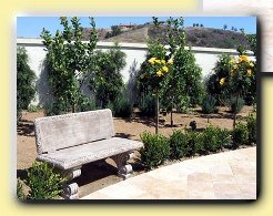 Stone bench in orchard