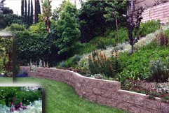 Tropical landscape planting on slope