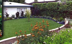 Retaining wall in tropical landscape