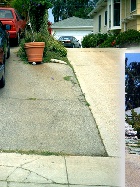 Driveway Before