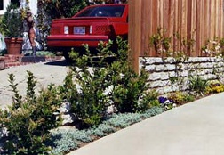 Functional landscape design