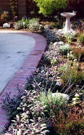 English border garden design