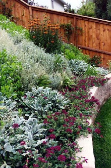 Lush Slope Landscape Design