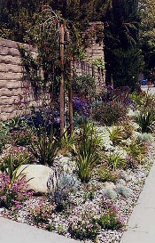 Mediterranean drought tolerant design